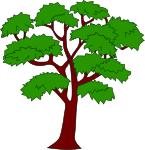 Mahogany tree